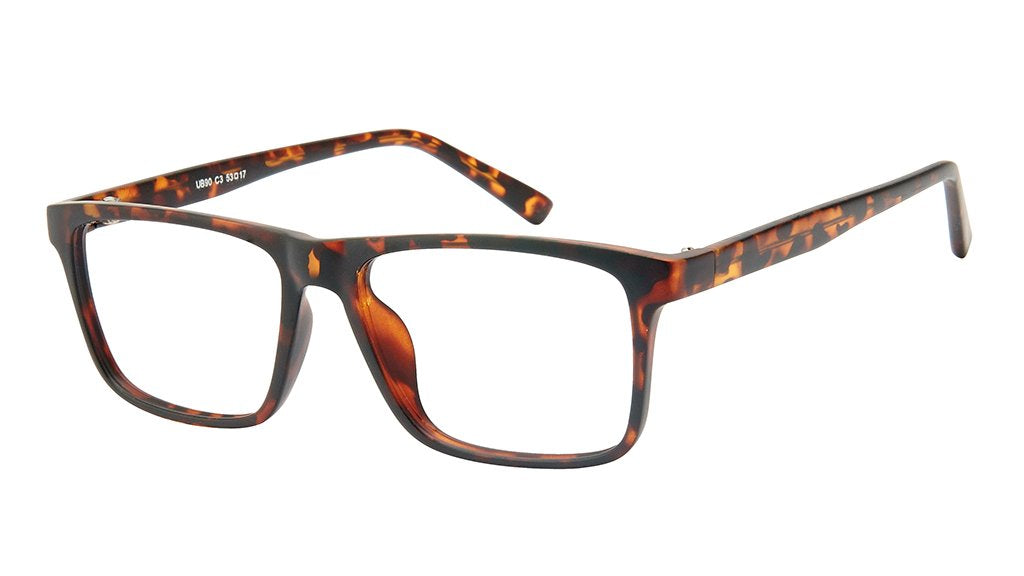 c3-Tortoiseshell