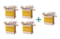 Bargain Box - Reading Glasses x 75