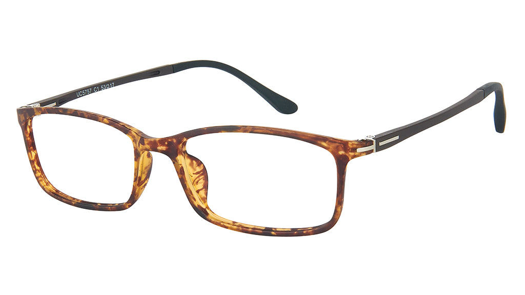 c1-Tortoiseshell